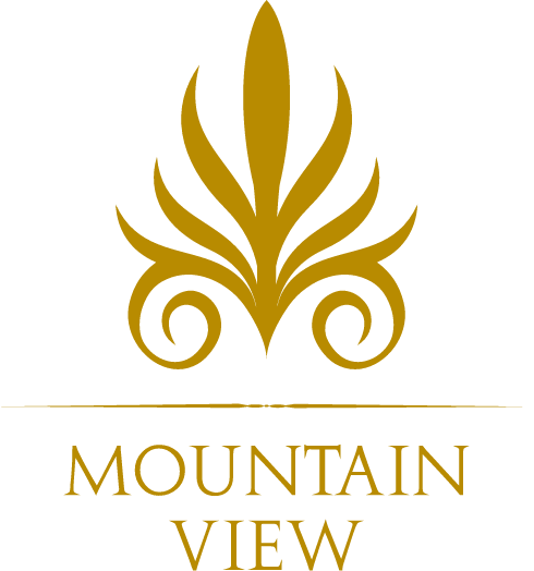 MV Logo